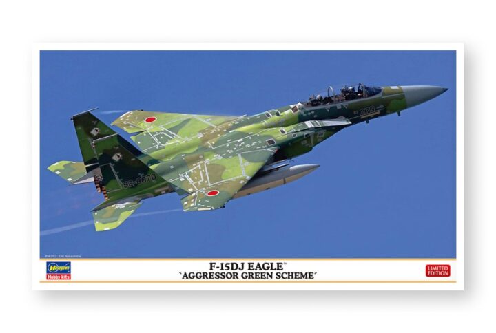 Збірна модель Hasegawa