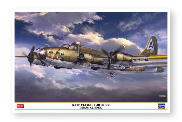 Збірна модель Hasegawa