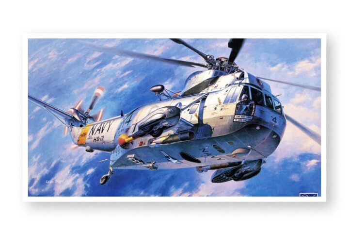 Збірна модель Hasegawa