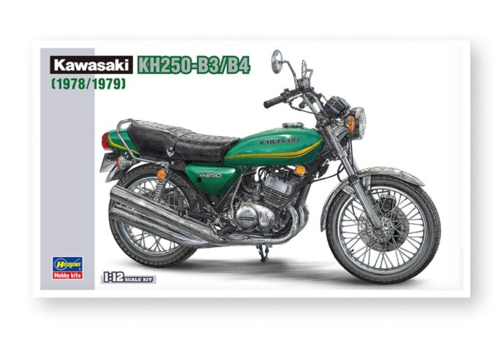 Збірна модель Hasegawa