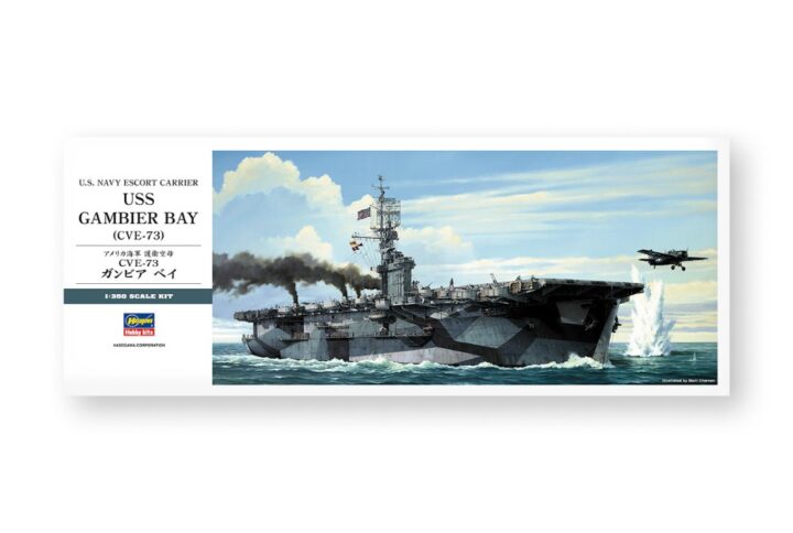 Збірна модель Hasegawa