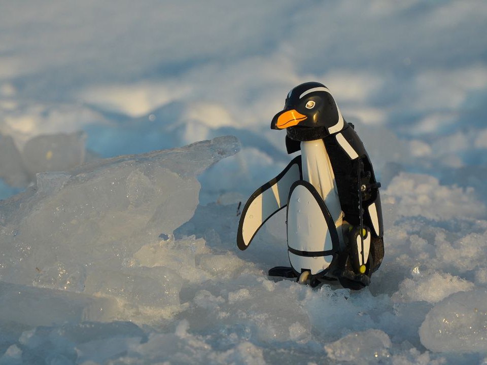 photo 2026 02 12 14 43 00