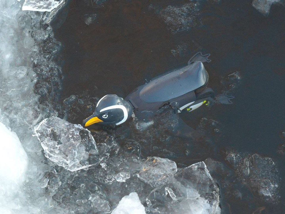 photo 2026 02 12 14 43 02