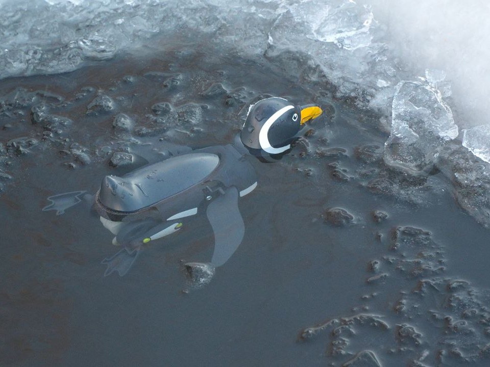 photo 2026 02 12 14 43 03