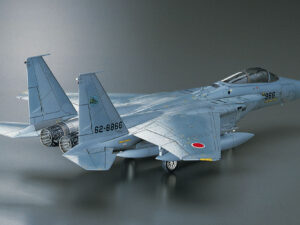 Збірна модель Hasegawa літак