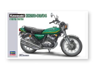 Збірна модель Hasegawa