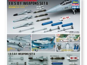 Збірна модель Hasegawa